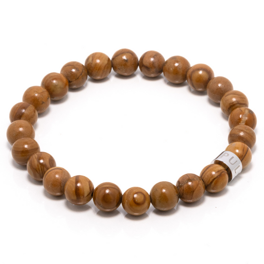 Kayumanggi V - Petrified Wood Jasper Bracelet